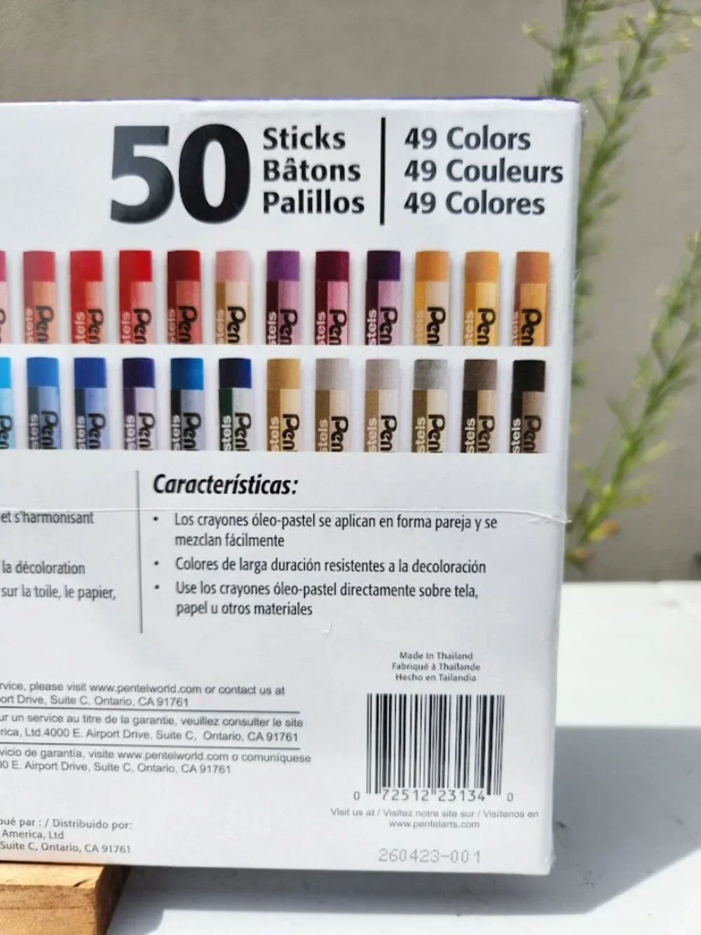 NEW Oil Pastels 50 Count Sticks Chalk Art Supplies School Set Acid-Free Easter B